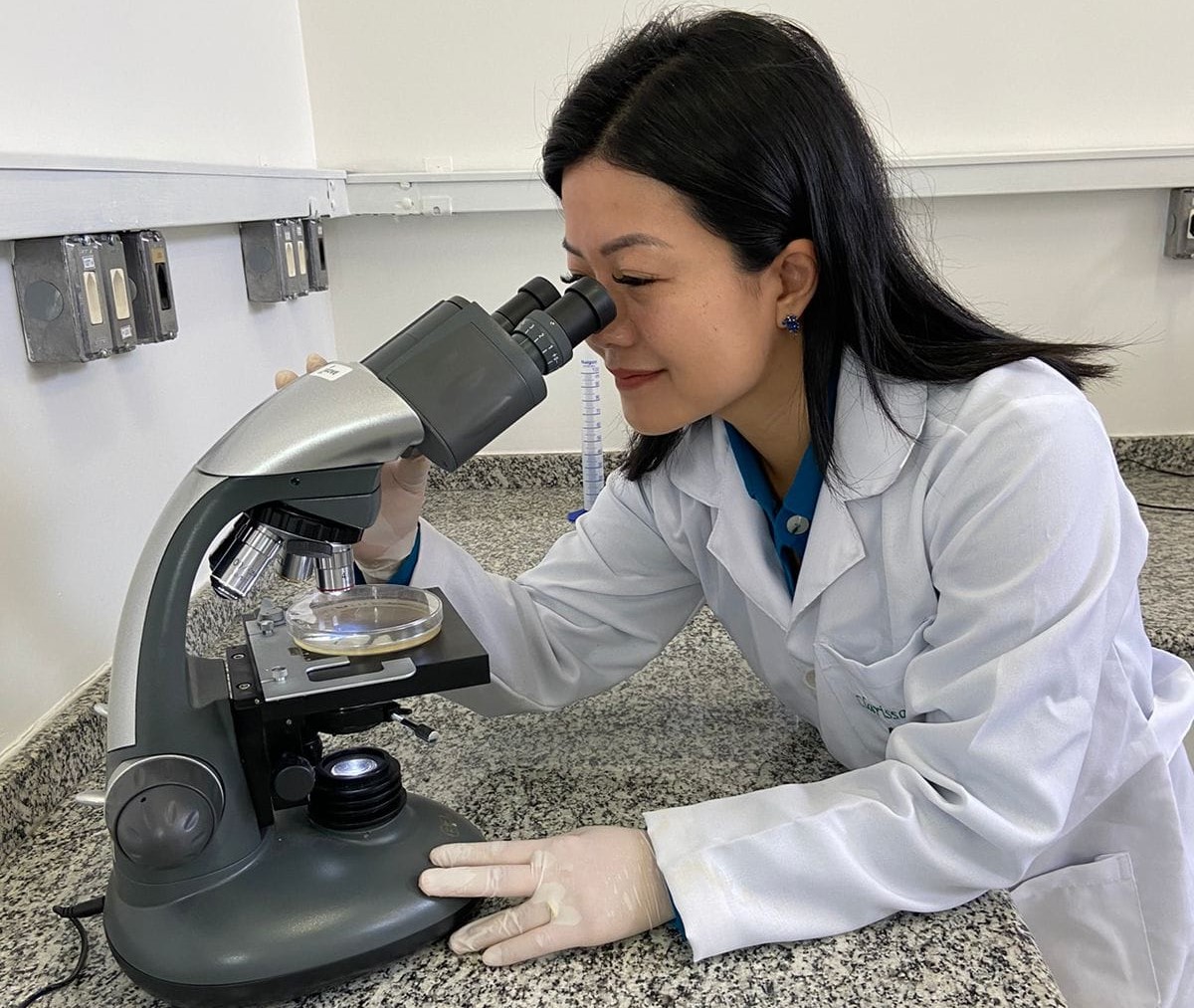 Pesquisadora Clarissa Okino observando fungos em um microscópio em seu laboratório em são carlos